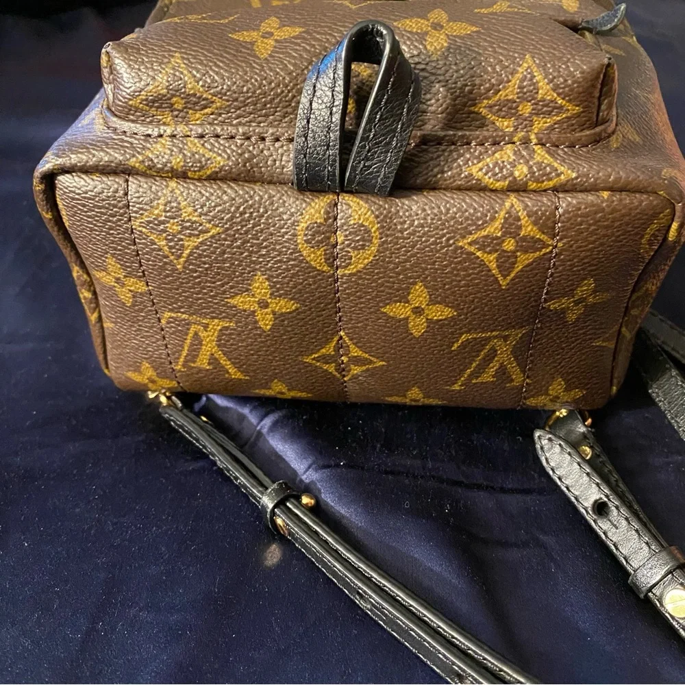 Louis Vuitton Palm Springs Backpack Mini Brown Canvas - Picture 4 of 15